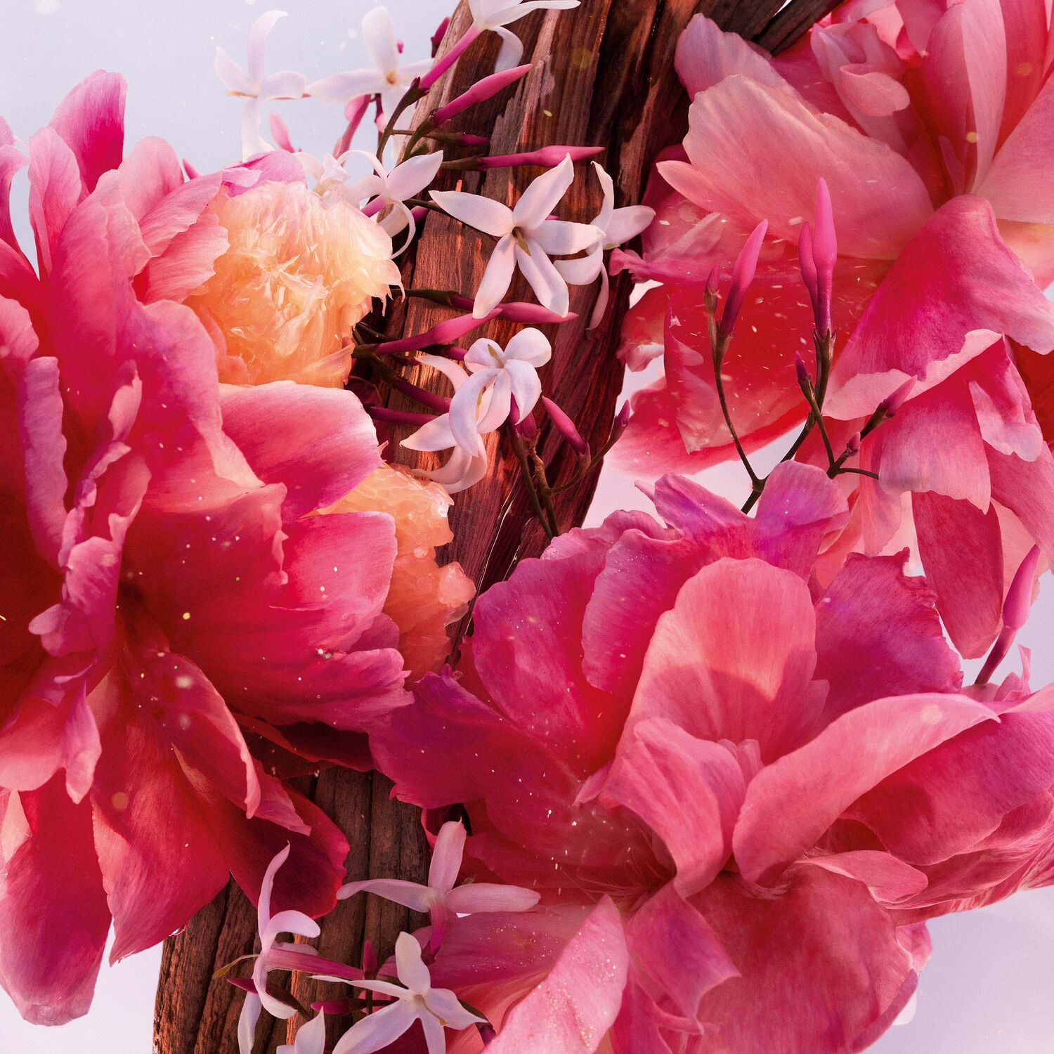 MISS DIOR PARFUM